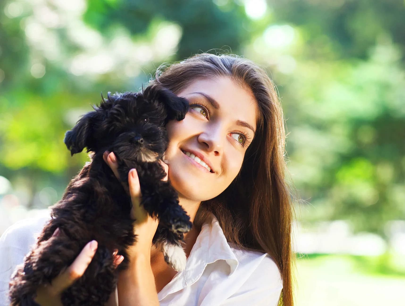 Welcome home your new adorable furry friend